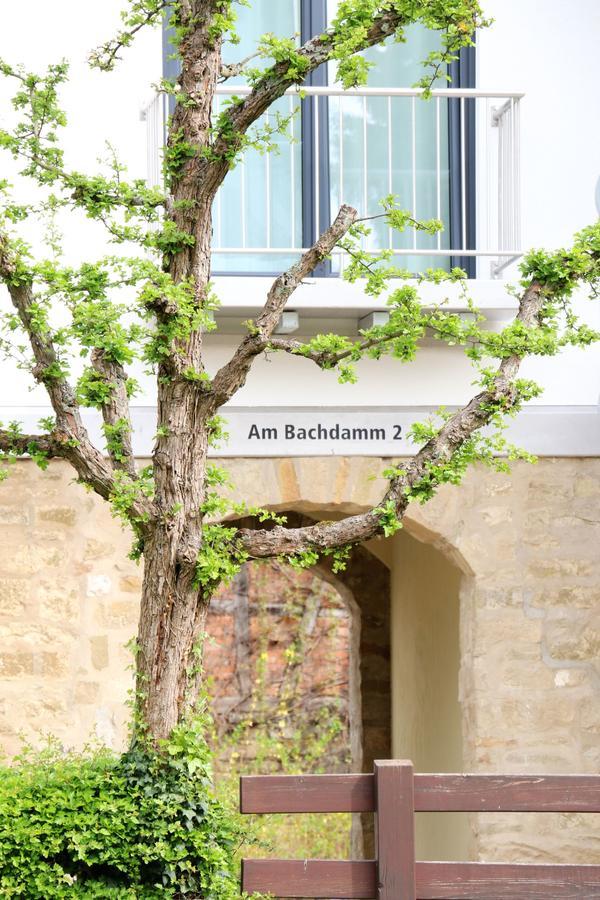 Alte Stadtmauer - Apartment Зинсхайм Экстерьер фото